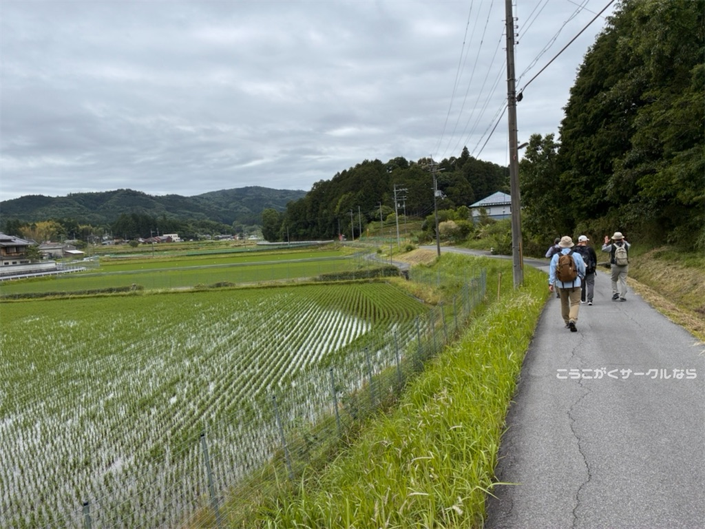 f:id:narakofu:20260609111225j:image