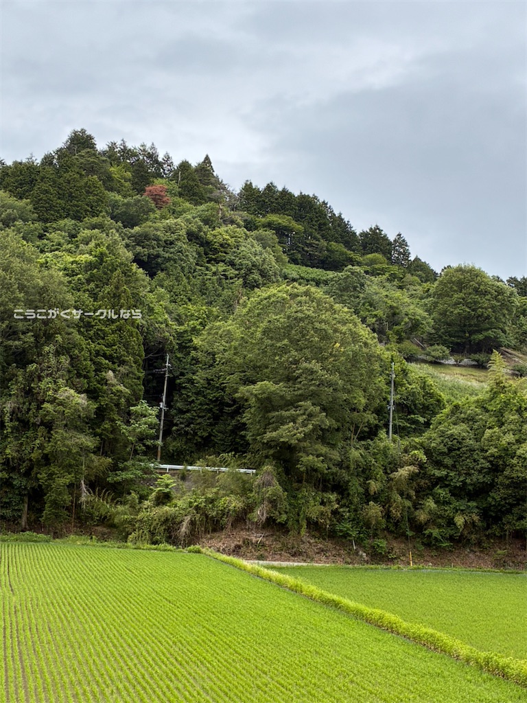 f:id:narakofu:20260609111234j:image