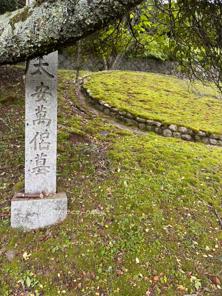 f:id:narakofu:20260609111321j:image