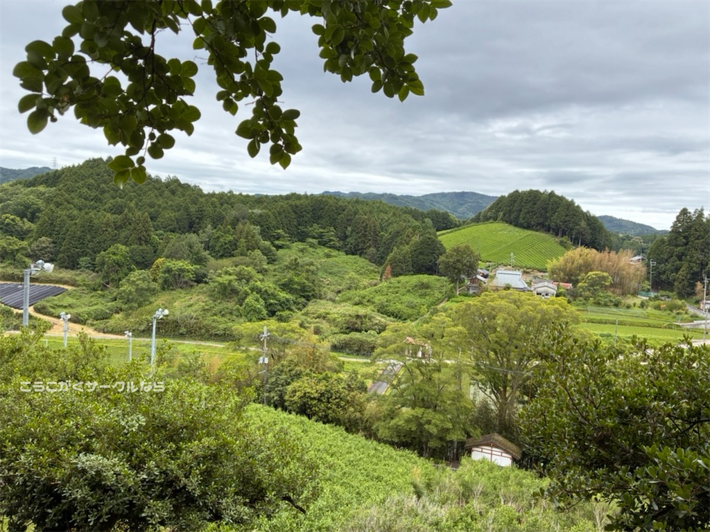 f:id:narakofu:20260609111332j:image