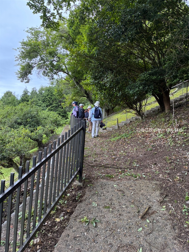 f:id:narakofu:20260609111408j:image