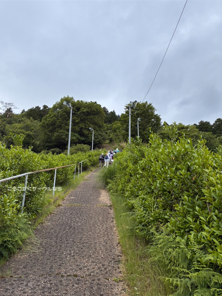 f:id:narakofu:20260609111424j:image