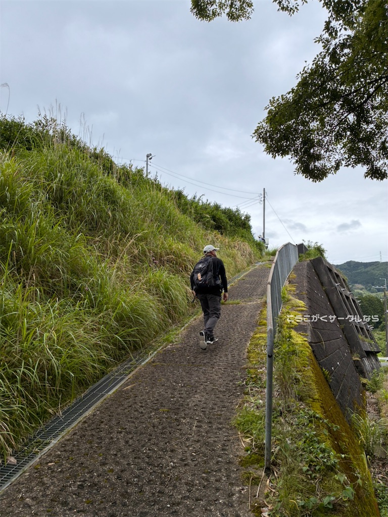 f:id:narakofu:20260609111438j:image