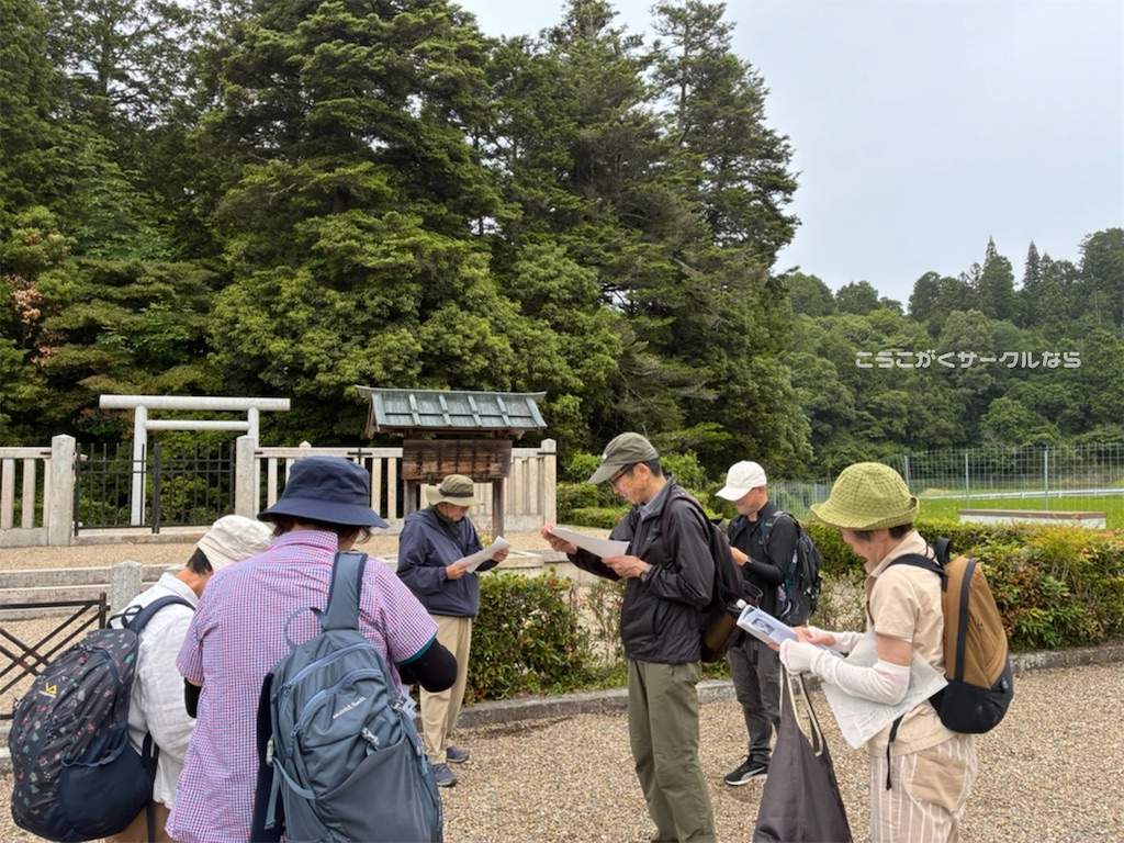 f:id:narakofu:20260609111506j:image