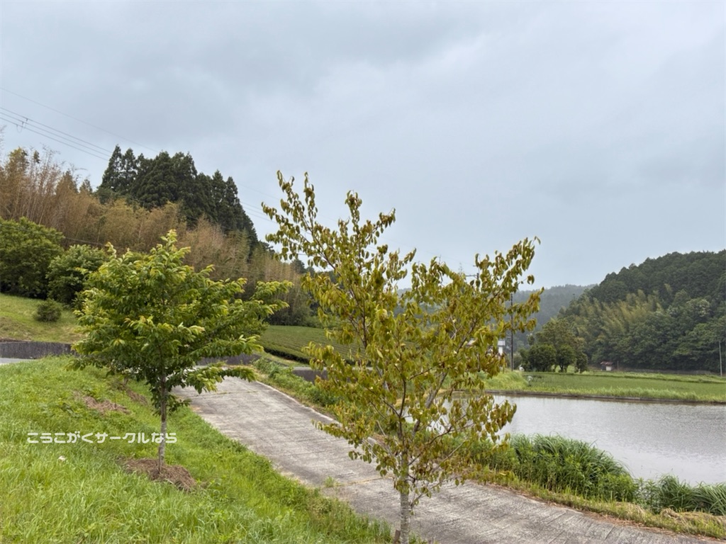 f:id:narakofu:20260609111535j:image