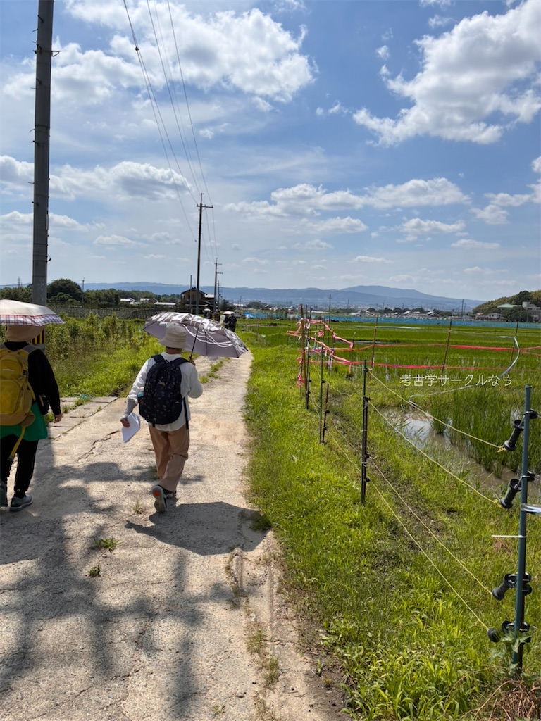 f:id:narakofu:20260710152828j:image