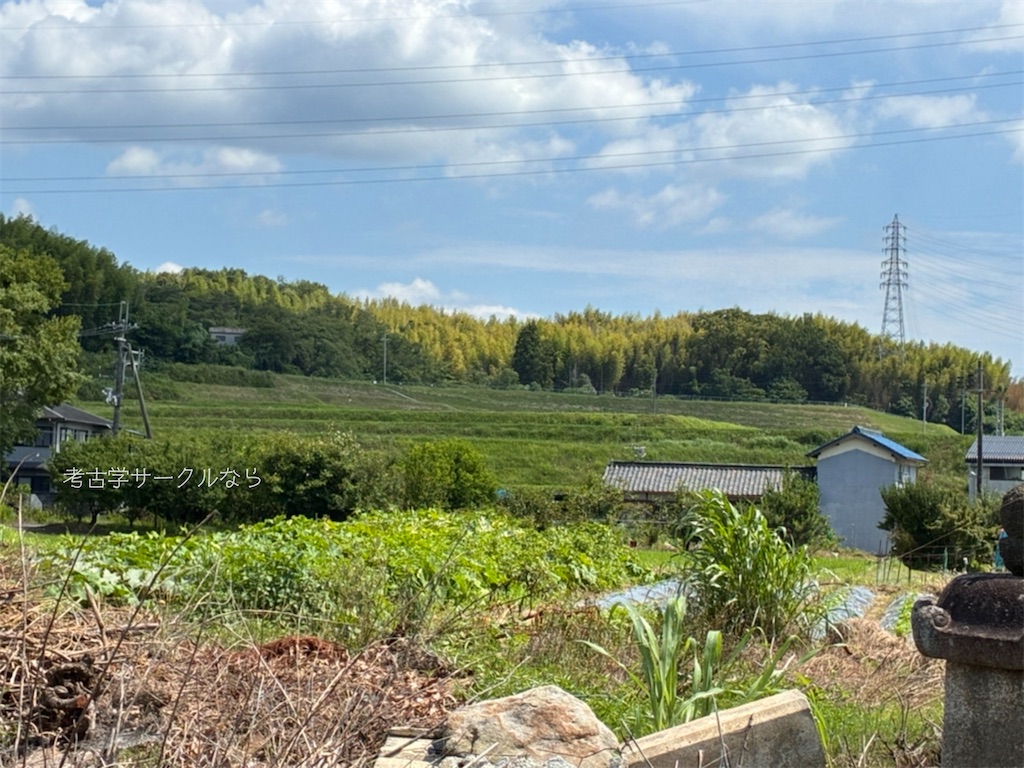 f:id:narakofu:20260710152905j:image
