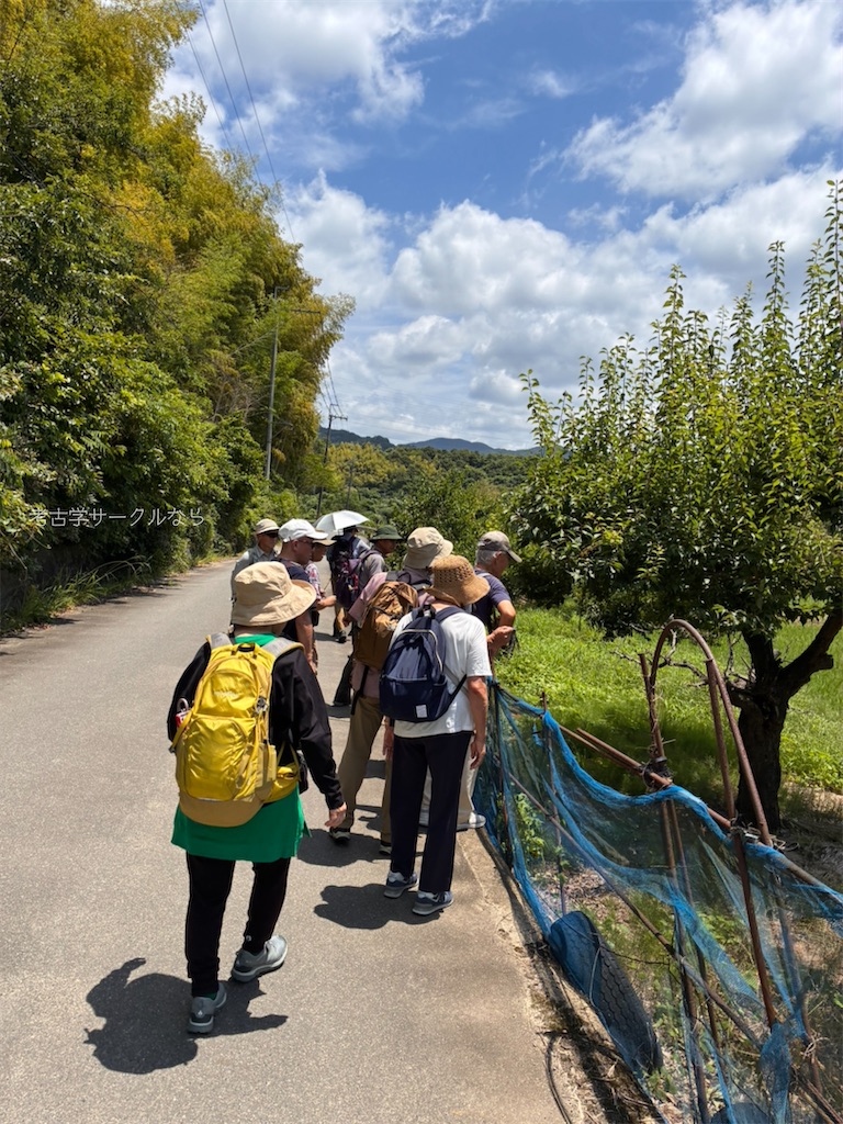 f:id:narakofu:20260710153054j:image