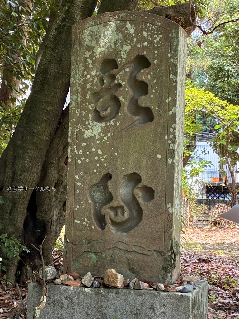 f:id:narakofu:20260710153240j:image