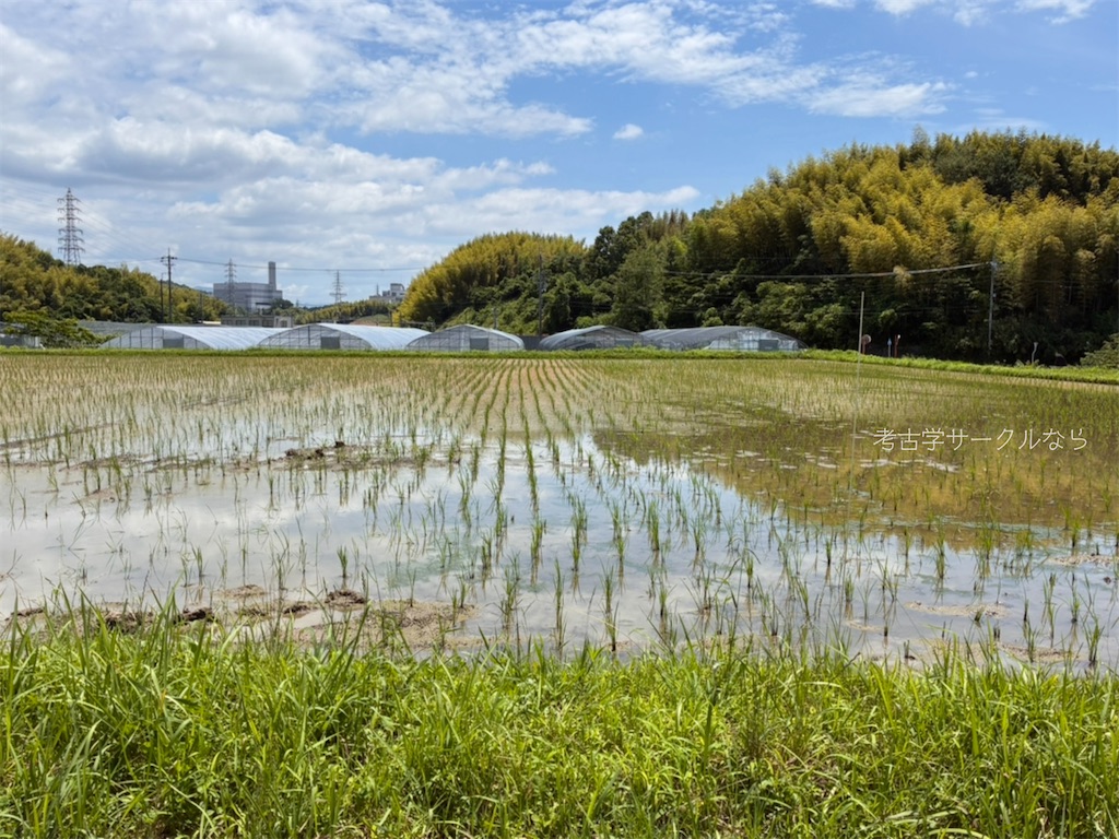 f:id:narakofu:20260712115828j:image