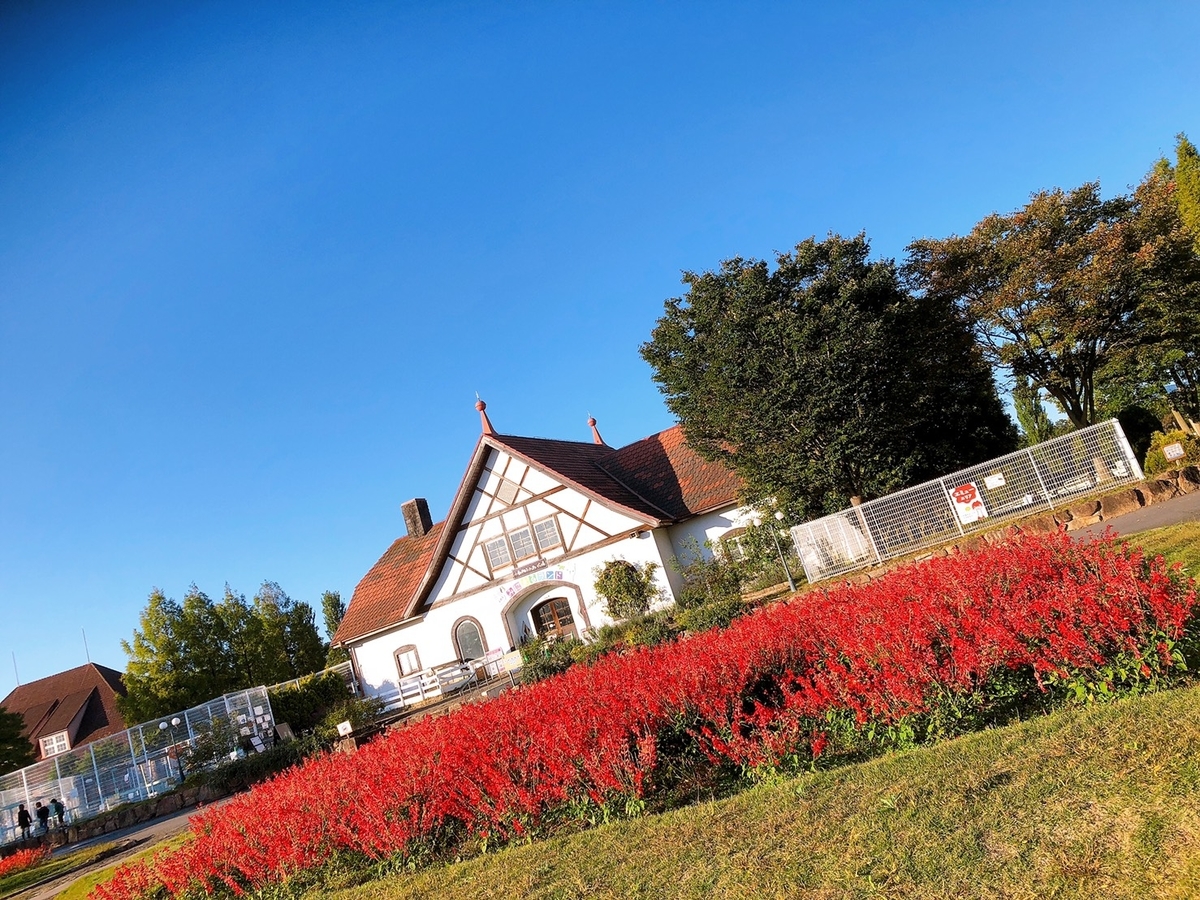 f:id:naramiyakokun:20210410114256j:plain