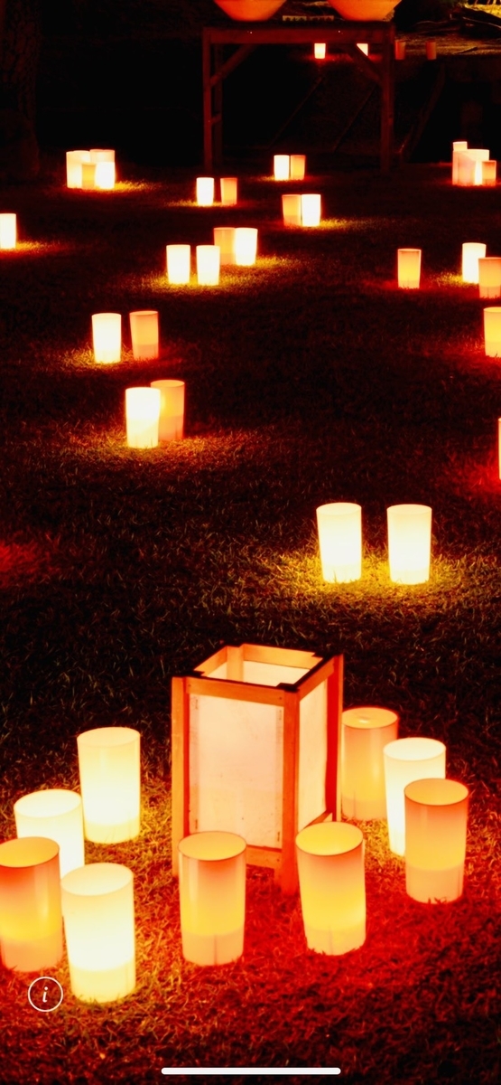 f:id:naramiyakokun:20210411111232j:plain