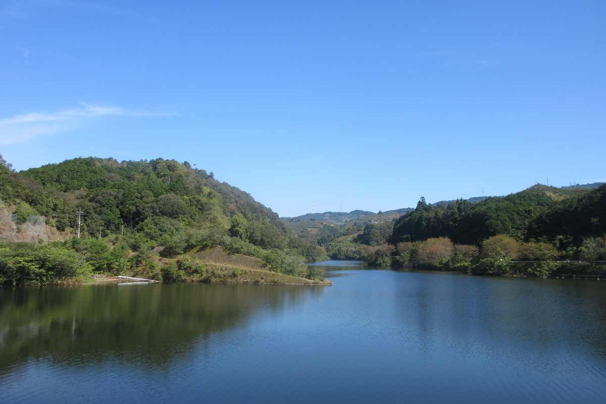 f:id:naraneko:20211005183144j:plain