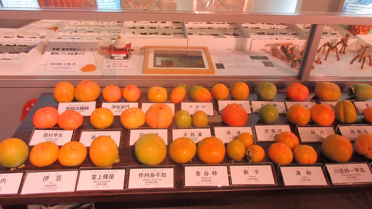 f:id:naraneko:20211005191422j:plain