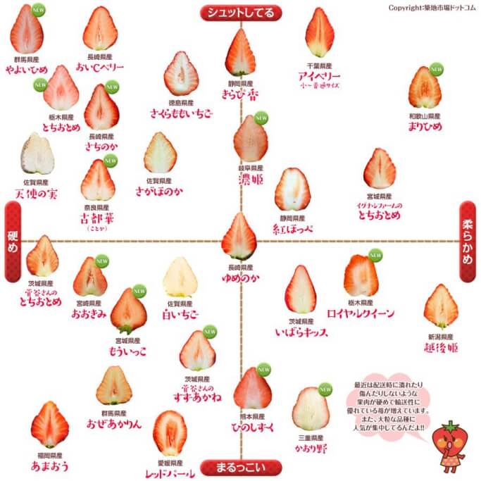 f:id:naratrip:20190118172428j:plain f:id:naratrip:20190118172428j:plain