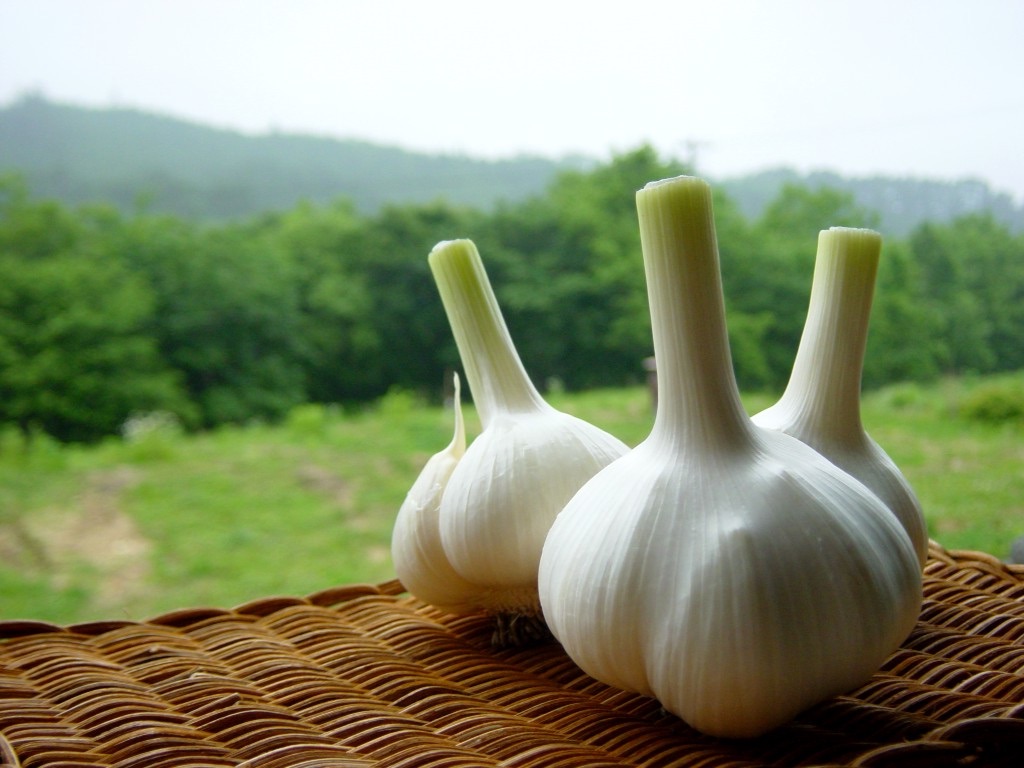 f:id:naratsune:20190624213537j:image