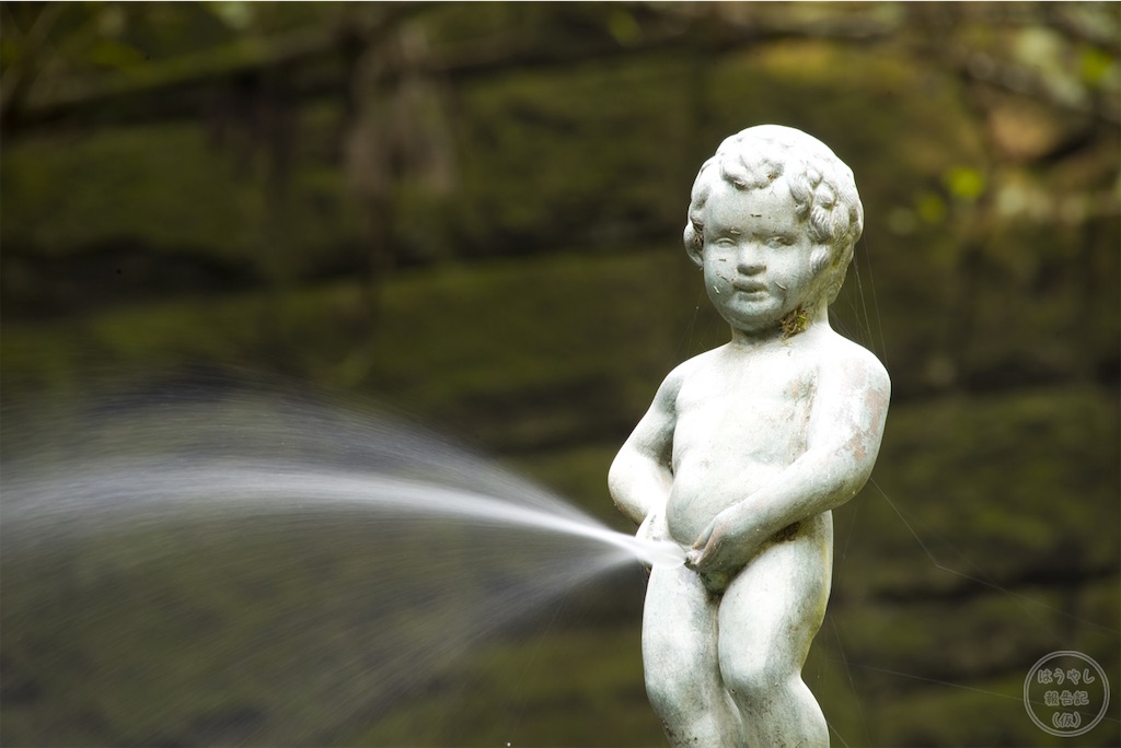 f:id:naratsune:20190626220844j:image