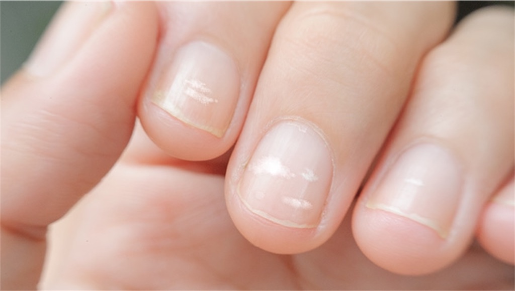 f:id:naratsune:20190627215309j:image