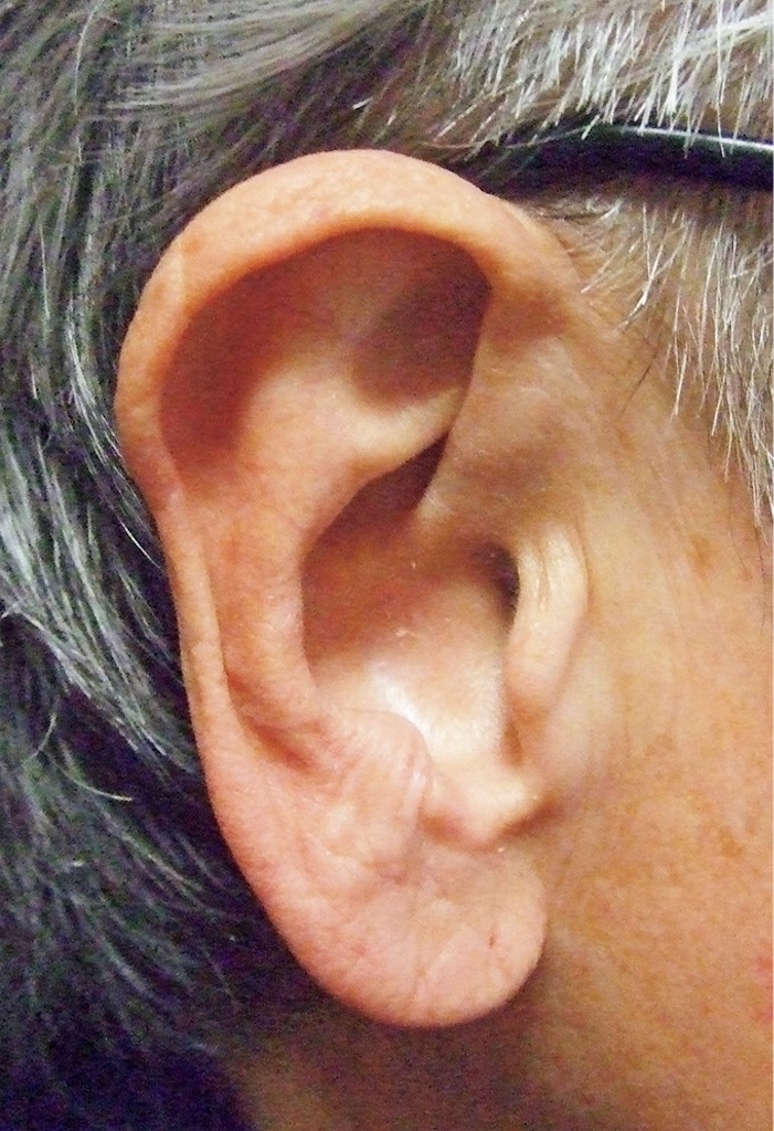 f:id:naratsune:20190627215715j:image