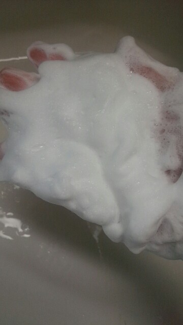 f:id:narcisman:20160604064405j:plain