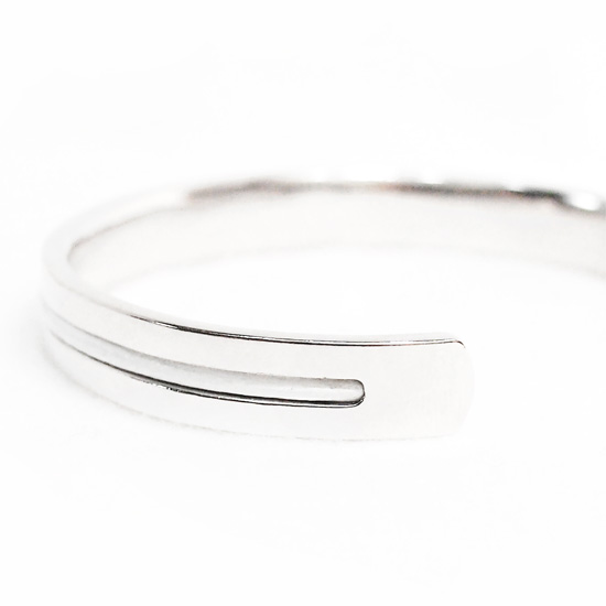 f:id:narcisman:20161220124529j:plain