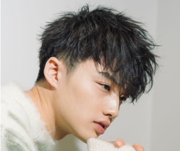 f:id:narcisman:20210423112712p:plain