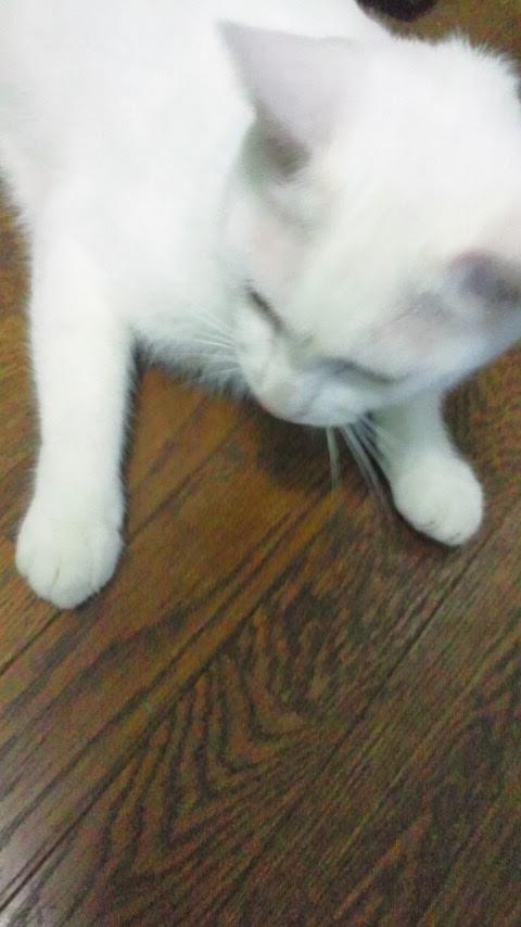 f:id:nari-fight:20200220021025j:image