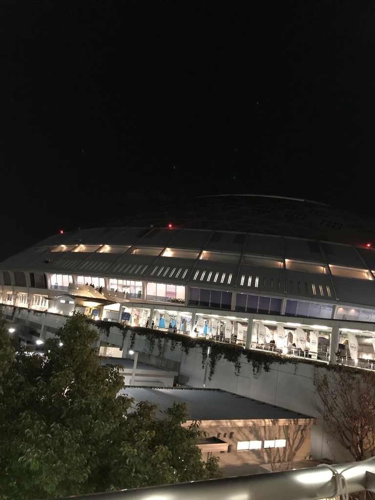 f:id:naricocoa11:20190202224354j:plain f:id:naricocoa11:20190202224354j:plain