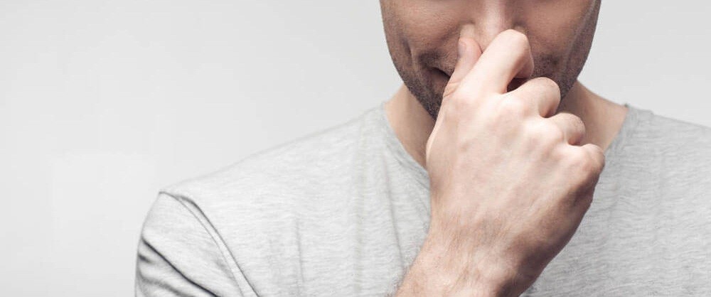 f:id:naridoidoi:20240629090452j:image