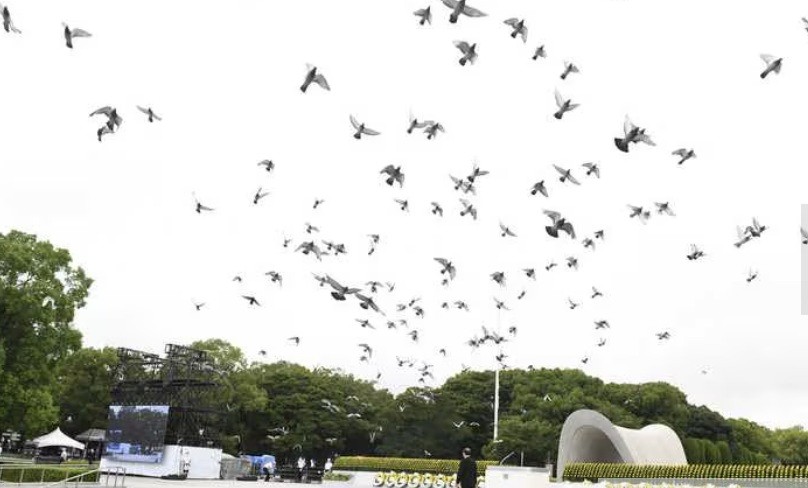 f:id:naridoidoi:20240815212530j:image