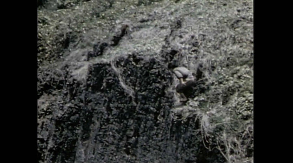 f:id:naridoidoi:20240819123341j:image