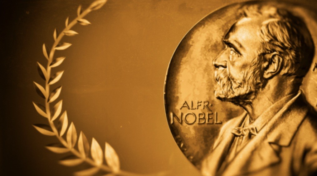 f:id:naridoidoi:20241014071813j:image