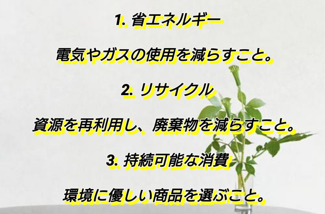 f:id:naridoidoi:20241014141014j:image