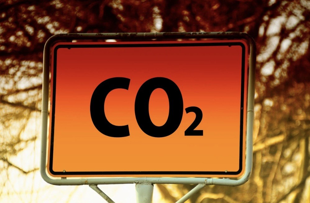 f:id:naridoidoi:20241014182456j:image