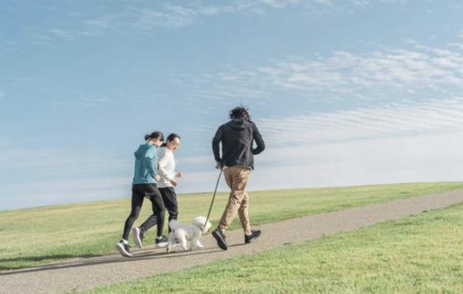 f:id:naridoidoi:20241017210716j:image