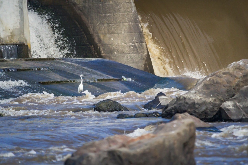 f:id:naridoidoi:20241018085704j:image