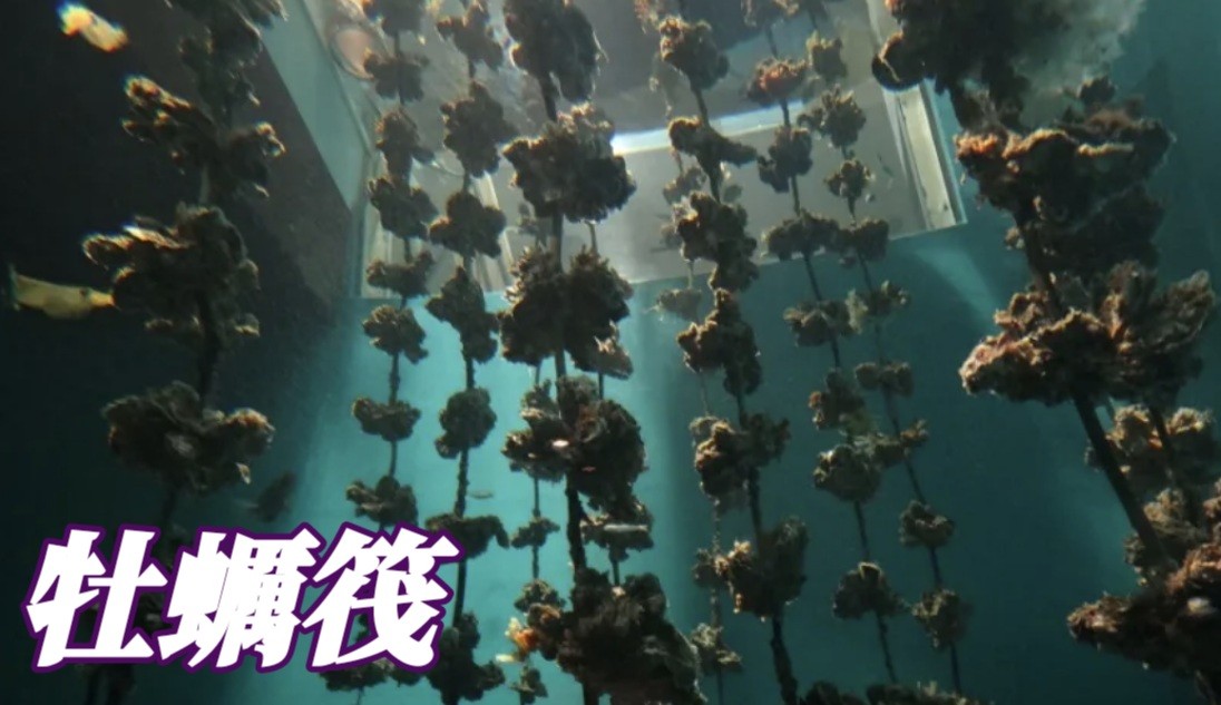 f:id:naridoidoi:20241018094739j:image