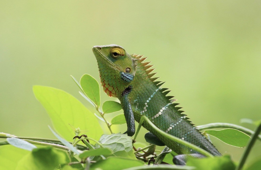 f:id:naridoidoi:20241025211316j:image