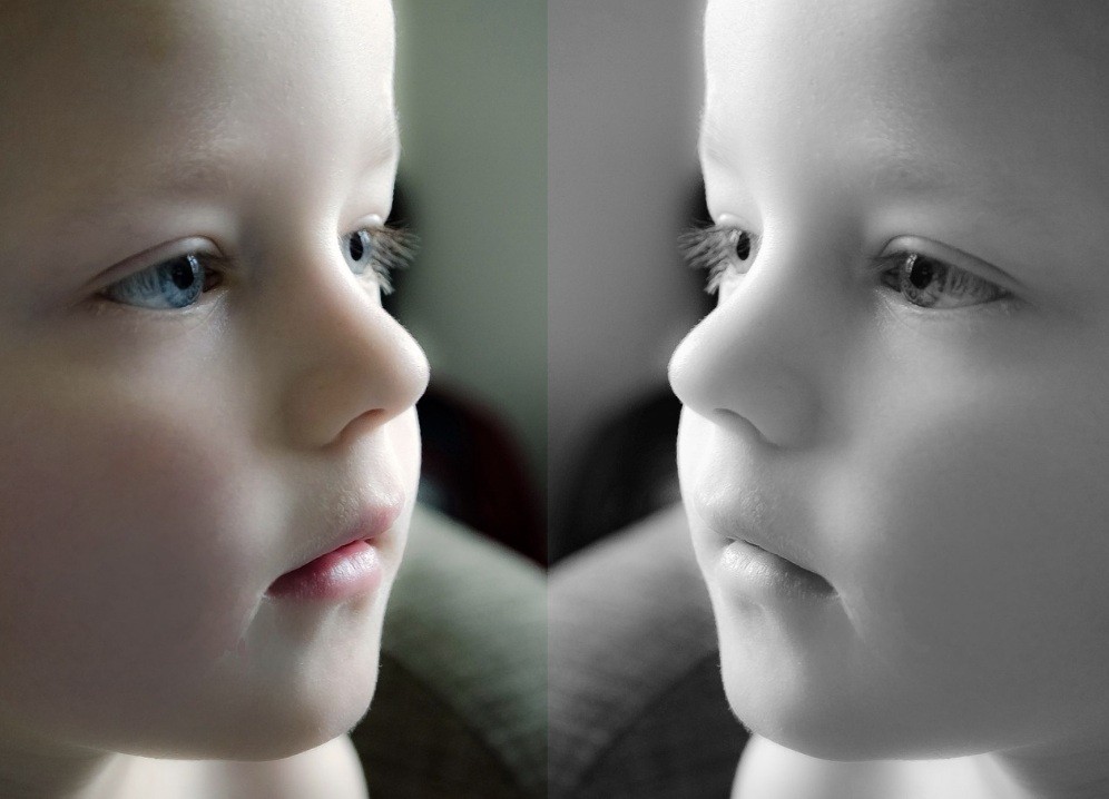 f:id:naridoidoi:20241025230627j:image