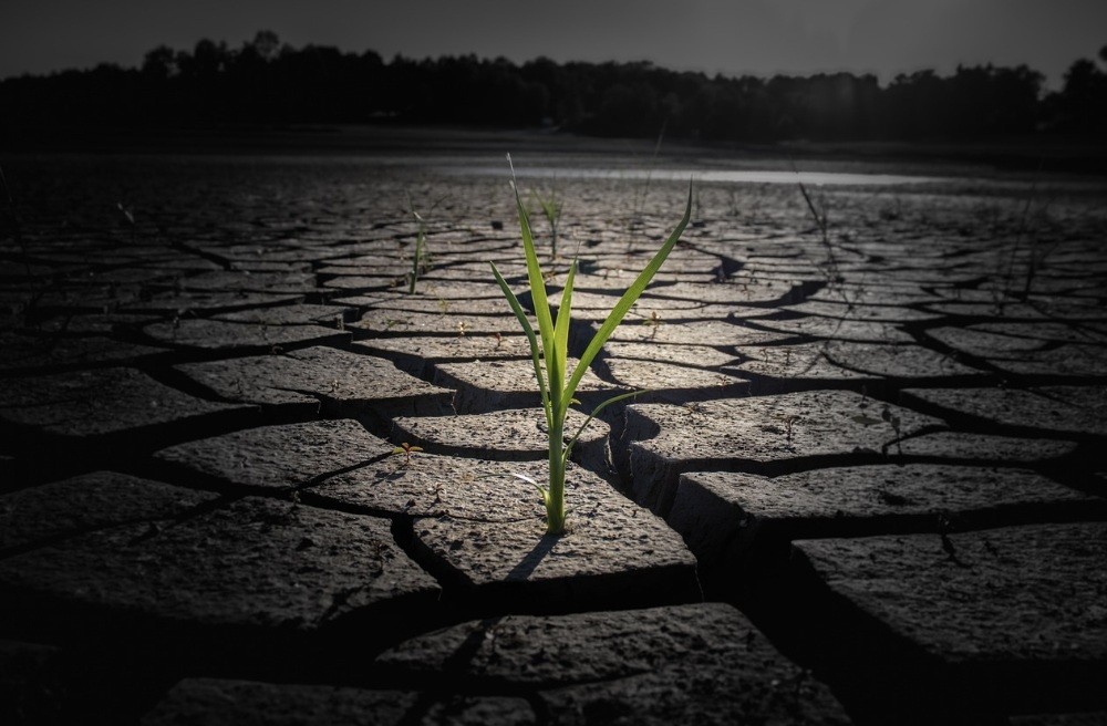 f:id:naridoidoi:20241027084805j:image