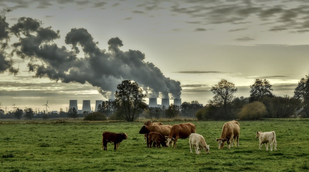 f:id:naridoidoi:20241027094359j:image