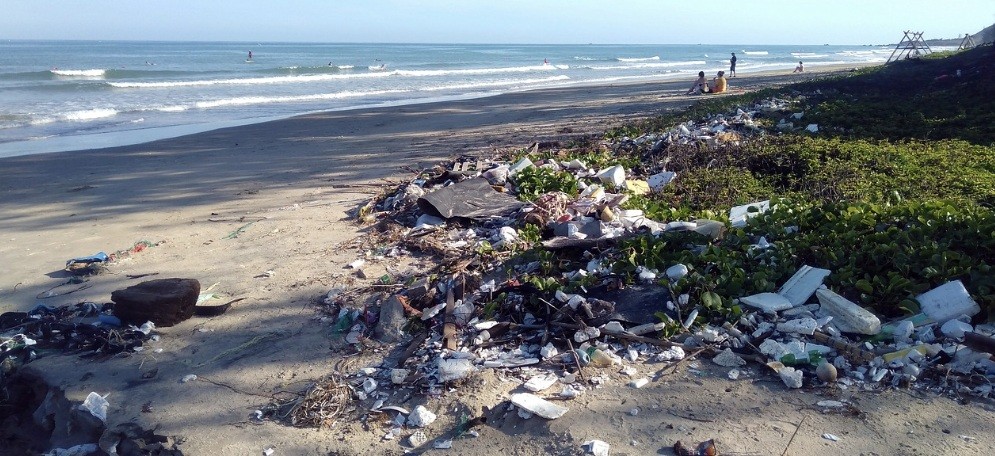 f:id:naridoidoi:20241027095123j:image