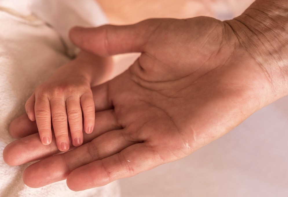 f:id:naridoidoi:20241027111822j:image