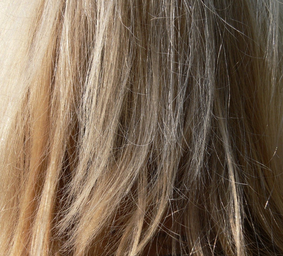 f:id:naridoidoi:20241102230441j:image f:id:naridoidoi:20241102230441j:image