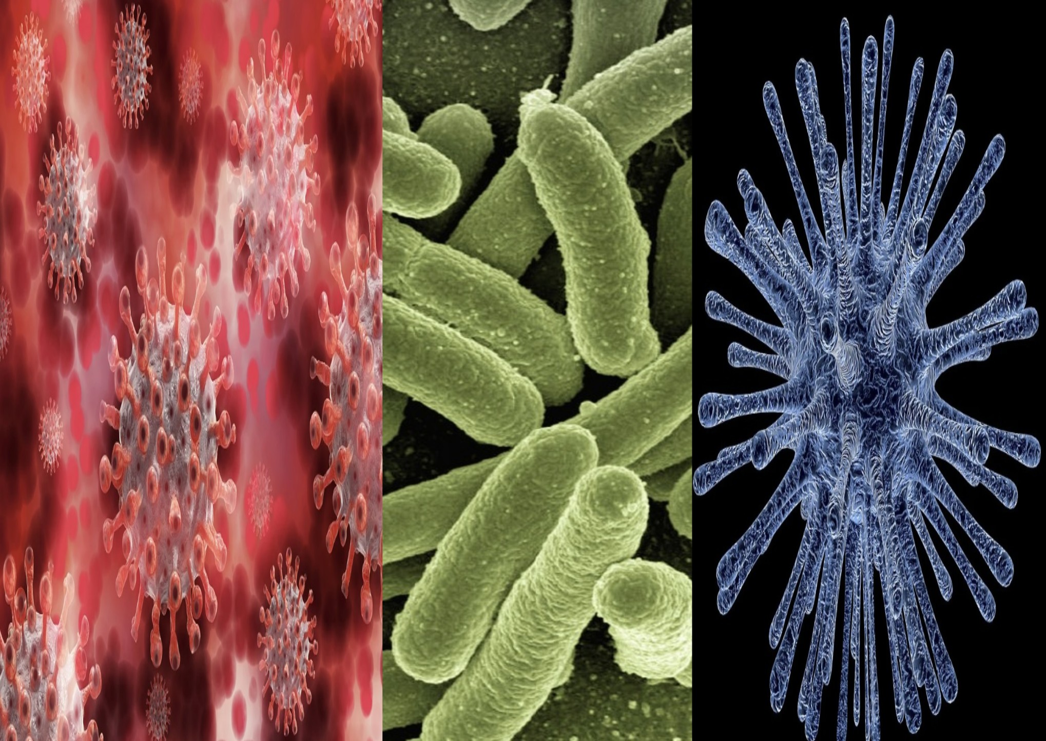 f:id:naridoidoi:20241222081841j:image f:id:naridoidoi:20241222081841j:image