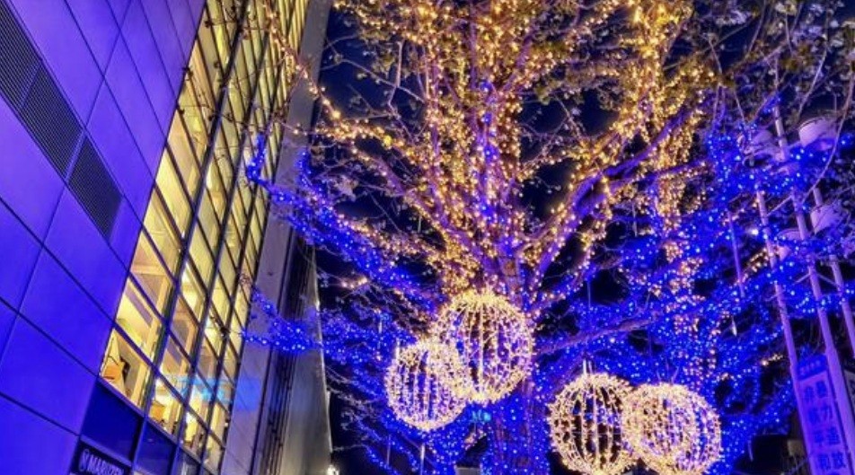 f:id:naridoidoi:20241227211008j:image f:id:naridoidoi:20241227211008j:image