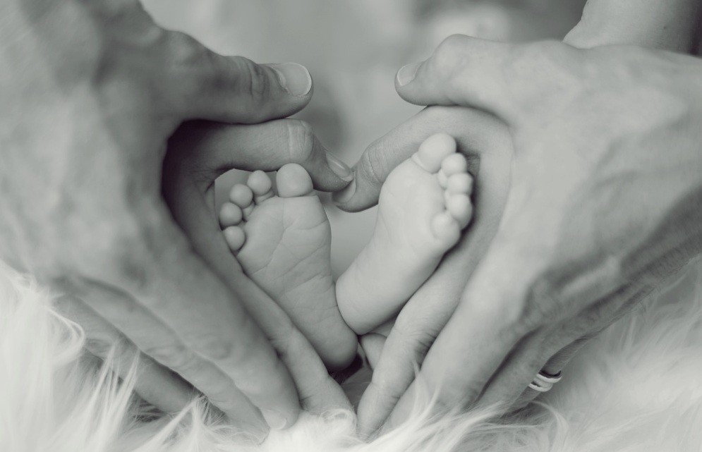 f:id:naridoidoi:20241229200531j:image f:id:naridoidoi:20241229200531j:image