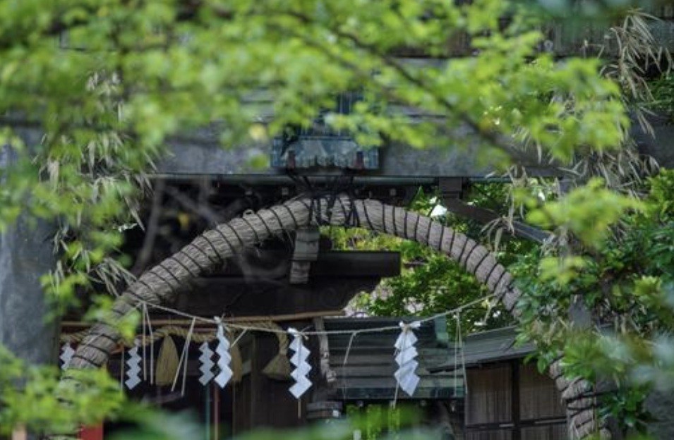 f:id:naridoidoi:20241229204922j:image f:id:naridoidoi:20241229204922j:image