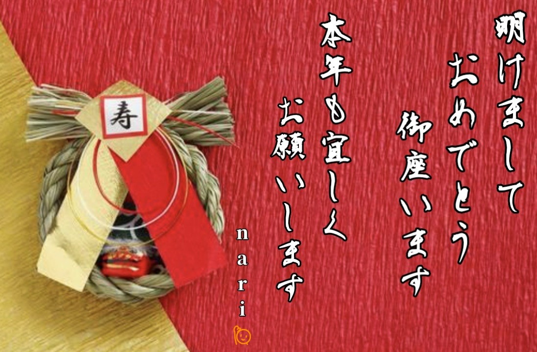 f:id:naridoidoi:20250101114115j:image