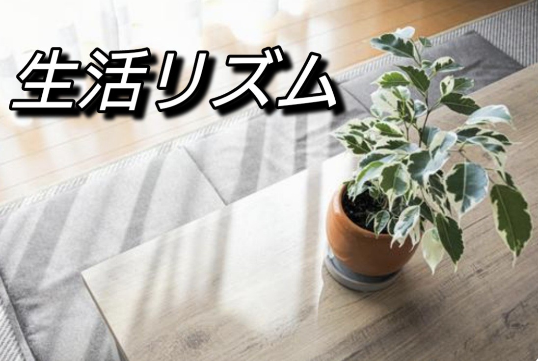 f:id:naridoidoi:20250105122600j:image